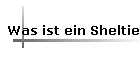 Was ist ein Sheltie
